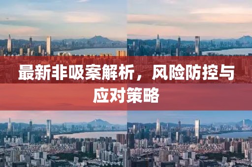 最新非吸案解析，风险防控与应对策略