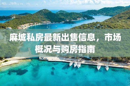 2024年11月19日 第19页