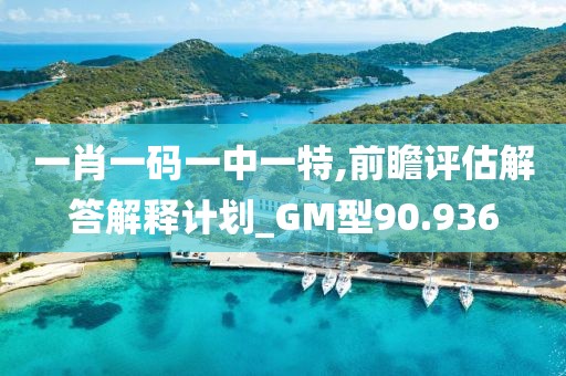 一肖一码一中一特,前瞻评估解答解释计划_GM型90.936