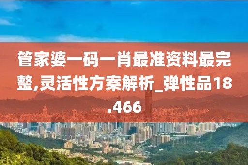 管家婆一码一肖最准资料最完整,灵活性方案解析_弹性品18.466
