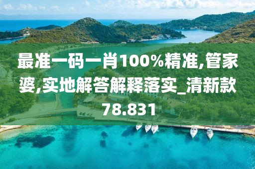 最准一码一肖100%精准,管家婆,实地解答解释落实_清新款78.831