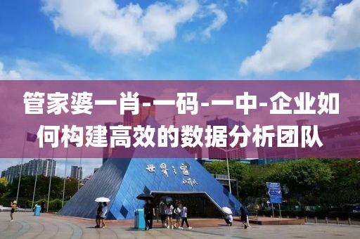 管家婆一肖-一码-一中-企业如何构建高效的数据分析团队