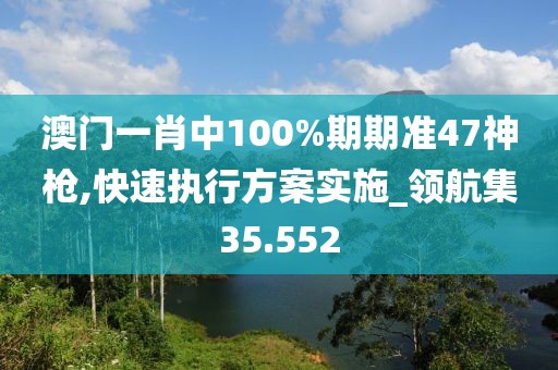 澳门一肖中100%期期准47神枪,快速执行方案实施_领航集35.552