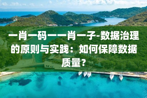 一肖一码一一肖一子-数据治理的原则与实践：如何保障数据质量？