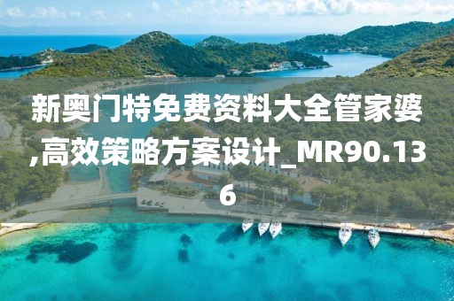 新奥门特免费资料大全管家婆,高效策略方案设计_MR90.136