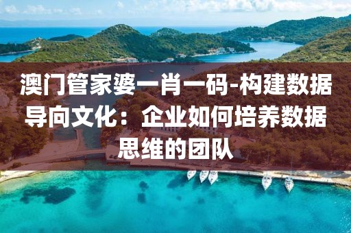 澳门管家婆一肖一码-构建数据导向文化：企业如何培养数据思维的团队