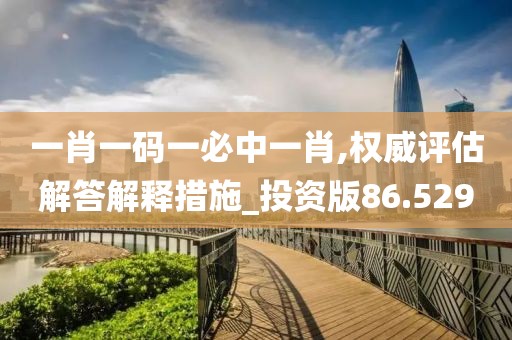 一肖一码一必中一肖,权威评估解答解释措施_投资版86.529