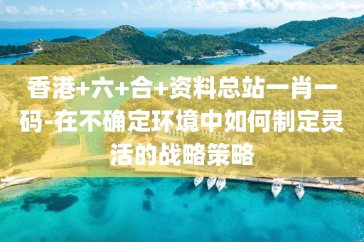 香港+六+合+资料总站一肖一码-在不确定环境中如何制定灵活的战略策略