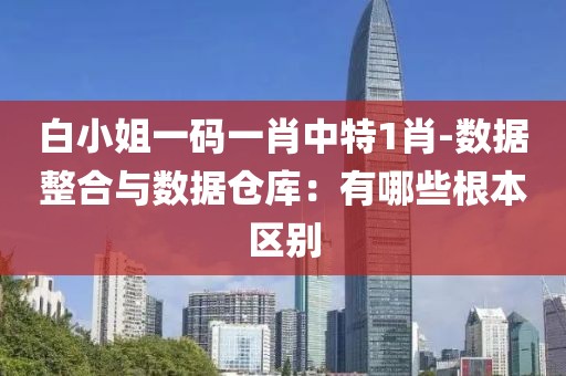 白小姐一码一肖中特1肖-数据整合与数据仓库：有哪些根本区别