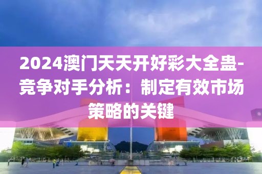 2024澳门天天开好彩大全蛊-竞争对手分析：制定有效市场策略的关键