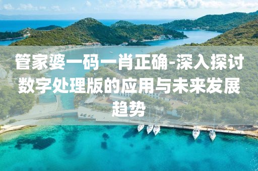 管家婆一码一肖正确-深入探讨数字处理版的应用与未来发展趋势