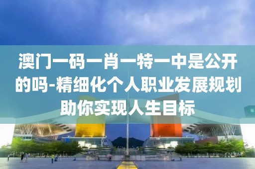 澳门一码一肖一特一中是公开的吗-精细化个人职业发展规划助你实现人生目标