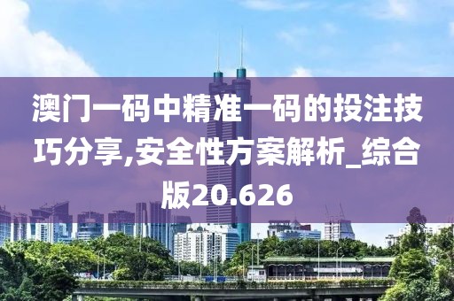 澳门一码中精准一码的投注技巧分享,安全性方案解析_综合版20.626