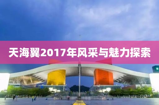 天海翼2017年风采与魅力探索