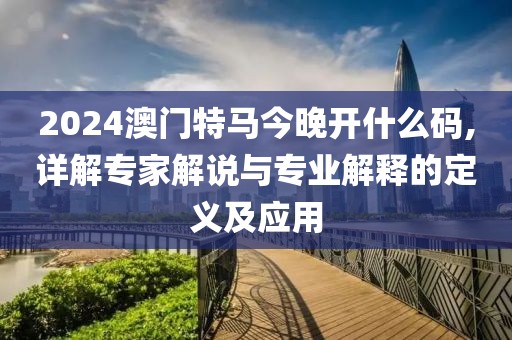 2024澳门特马今晚开什么码,详解专家解说与专业解释的定义及应用