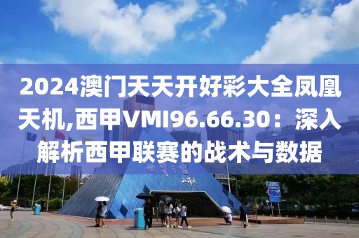 2024澳门天天开好彩大全凤凰天机,西甲VMI96.66.30：深入解析西甲联赛的战术与数据