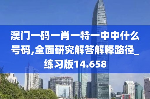澳门一码一肖一特一中中什么号码,全面研究解答解释路径_练习版14.658