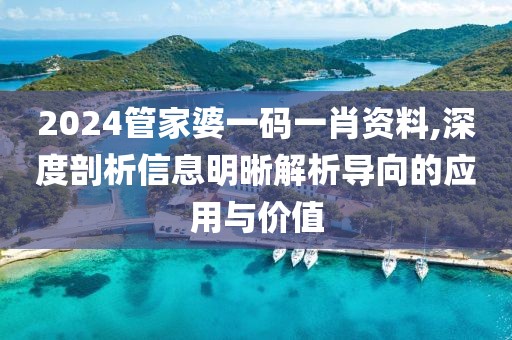 2024管家婆一码一肖资料,深度剖析信息明晰解析导向的应用与价值