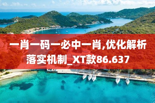 一肖一码一必中一肖,优化解析落实机制_XT款86.637