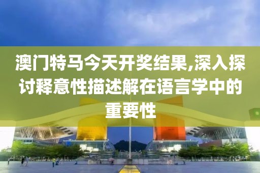 澳门特马今天开奖结果,深入探讨释意性描述解在语言学中的重要性