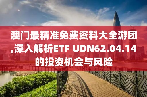 澳门最精准免费资料大全游团,深入解析ETF UDN62.04.14的投资机会与风险