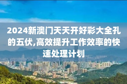 2024新澳门天天开好彩大全孔的五伏,高效提升工作效率的快速处理计划