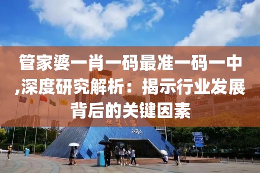管家婆一肖一码最准一码一中,深度研究解析：揭示行业发展背后的关键因素