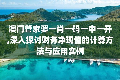 澳门管家婆一肖一码一中一开,深入探讨财务净现值的计算方法与应用实例