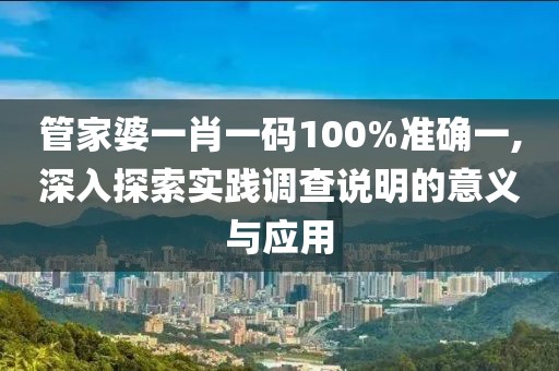 管家婆一肖一码100%准确一,深入探索实践调查说明的意义与应用