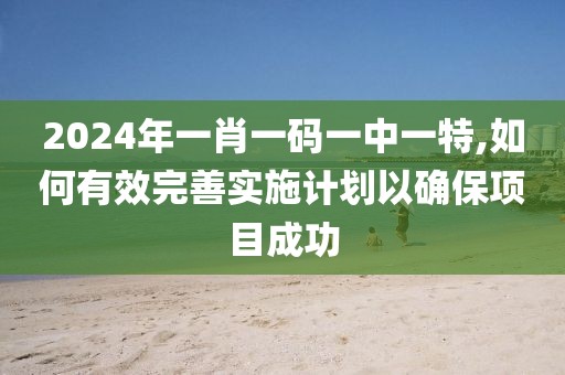 2024年一肖一码一中一特,如何有效完善实施计划以确保项目成功
