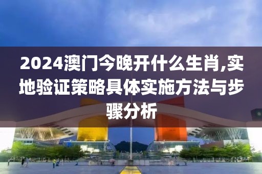 2024澳门今晚开什么生肖,实地验证策略具体实施方法与步骤分析