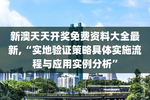 新澳天天开奖免费资料大全最新,“实地验证策略具体实施流程与应用实例分析”