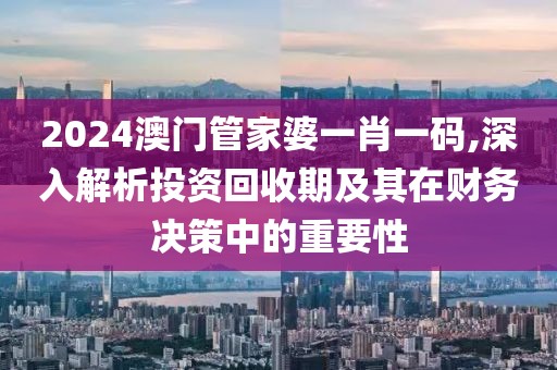 2024澳门管家婆一肖一码,深入解析投资回收期及其在财务决策中的重要性