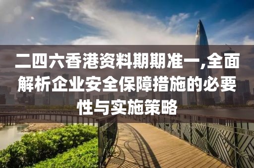 二四六香港资料期期准一,全面解析企业安全保障措施的必要性与实施策略