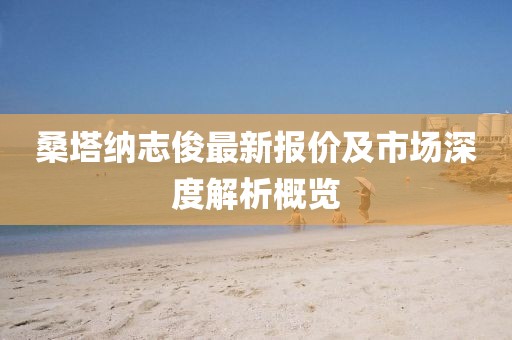 桑塔纳志俊最新报价及市场深度解析概览