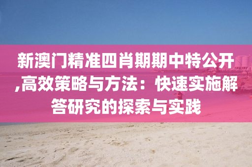 新澳门精准四肖期期中特公开,高效策略与方法：快速实施解答研究的探索与实践