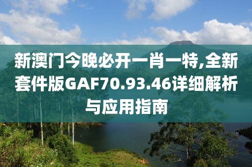 新澳门今晚必开一肖一特,全新套件版GAF70.93.46详细解析与应用指南