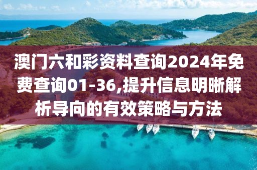 澳门六和彩资料查询2024年免费查询01-36,提升信息明晰解析导向的有效策略与方法