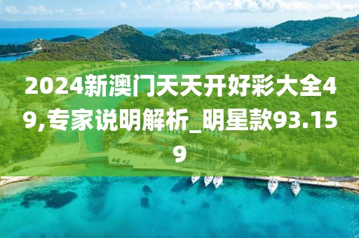 2024新澳门天天开好彩大全49,专家说明解析_明星款93.159