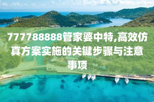 777788888管家婆中特,高效仿真方案实施的关键步骤与注意事项