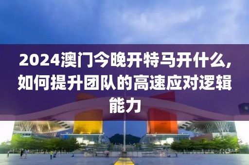 2024澳门今晚开特马开什么,如何提升团队的高速应对逻辑能力