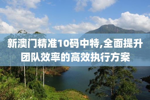 新澳门精准10码中特,全面提升团队效率的高效执行方案