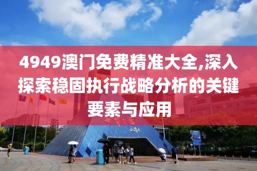 4949澳门免费精准大全,深入探索稳固执行战略分析的关键要素与应用