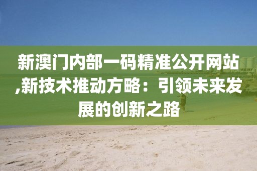 新澳门内部一码精准公开网站,新技术推动方略：引领未来发展的创新之路