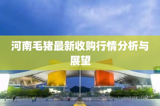 河南毛猪最新收购行情分析与展望