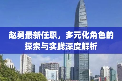 赵勇最新任职，多元化角色的探索与实践深度解析