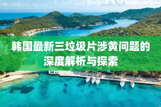 韩国最新三垃圾片涉黄问题的深度解析与探索