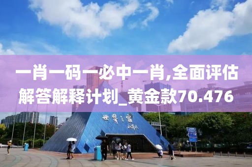 一肖一码一必中一肖,全面评估解答解释计划_黄金款70.476
