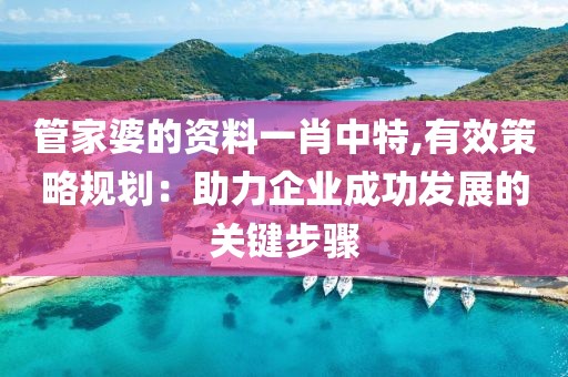管家婆的资料一肖中特,有效策略规划：助力企业成功发展的关键步骤