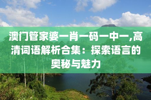 澳门管家婆一肖一码一中一,高清词语解析合集：探索语言的奥秘与魅力